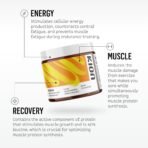 Kion Aminos Essential Amino Acids Powder | All 9 EAAs + BCAAs for Lean Muscle, Recovery & Energy | Sugar-Free, Caffeine-Free - Image 3