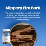 Her Fantasy Box | Slippery Box | Fast-Acting Slippery Elm Capsules for Feminine Wellness & Intimate Moisture Support – 60 Vegan Capsules - Image 4