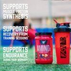 BSN Amino X Recovery Powder with BCAAs, Fruit Punch, 70 Servings - Image 3