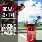 BSN Amino X Recovery Powder with BCAAs, Fruit Punch, 70 Servings - Image 5