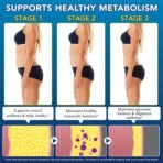 asusxcli GLP-1 Supplement - Dietary Supplement -Synbiotics - Curb Appetite, Boost Metabolism & Support Gut Health for Women & Men Lean Body Support - 90 Capsules - Image 6