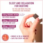 Microjoy Hibernate Mushroom Gummies, Sleep Support with Reishi, 30 Servings - Image 3