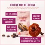 Microjoy Hibernate Mushroom Gummies, Sleep Support with Reishi, 30 Servings - Image 4