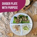 Health Beet 10” Diabetic Portion Control Plate for Balanced Eating -3 Divided Sections for Veggies Carbs & Protein - Microwave & Dishwasher Safe Bariatric Sectioned Plates for Adults & Kids - 1 Pack - Image 2