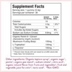 Microjoy Hibernate Mushroom Gummies, Sleep Support with Reishi, 30 Servings - Image 2