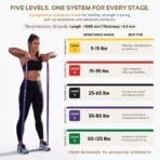 Resistance Band Set 5 Levels(5–125 lbs) with Handles & Door Anchor. Full Body Home Gym : Pull-Up Assist, Strenght Training, Home Workouts, Toning, Stretching, PT & Mobility. - Image 2